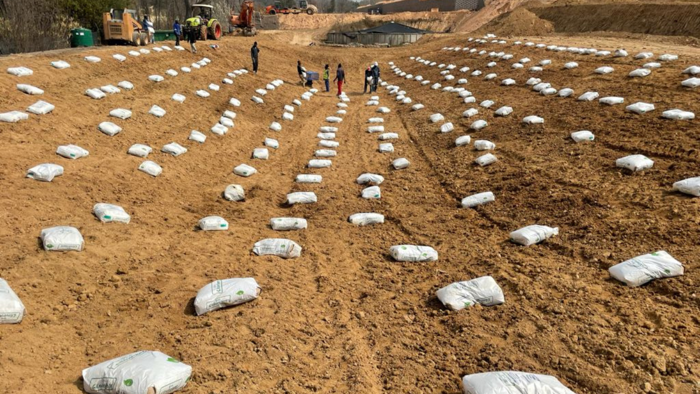 A group of people standing in a field of white bags